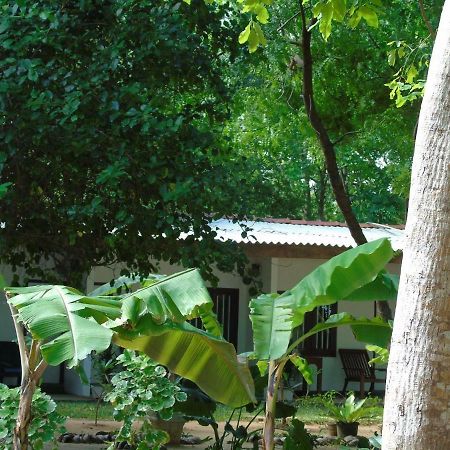 Talalla Coconut Hotel Экстерьер фото