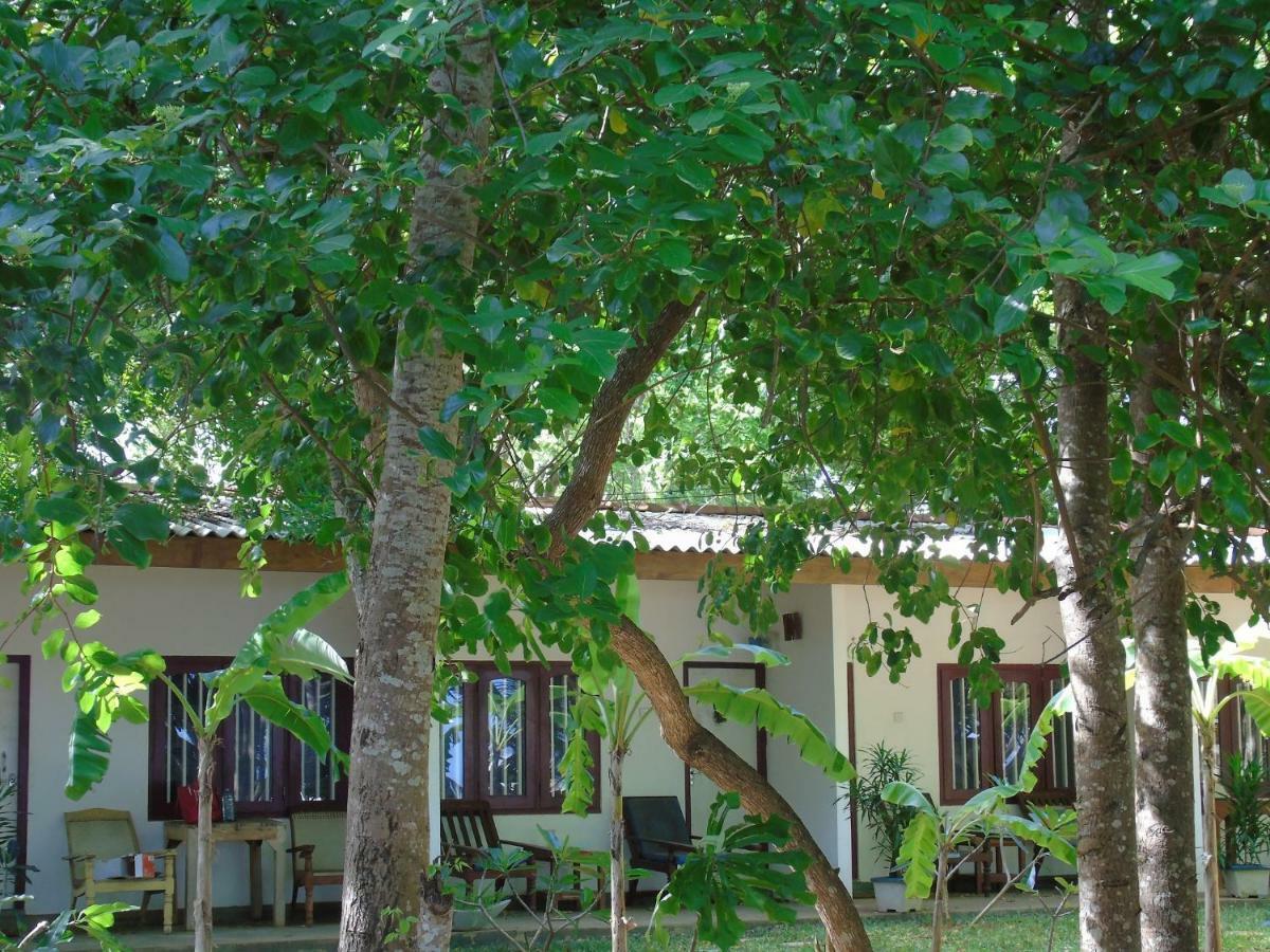 Talalla Coconut Hotel Экстерьер фото