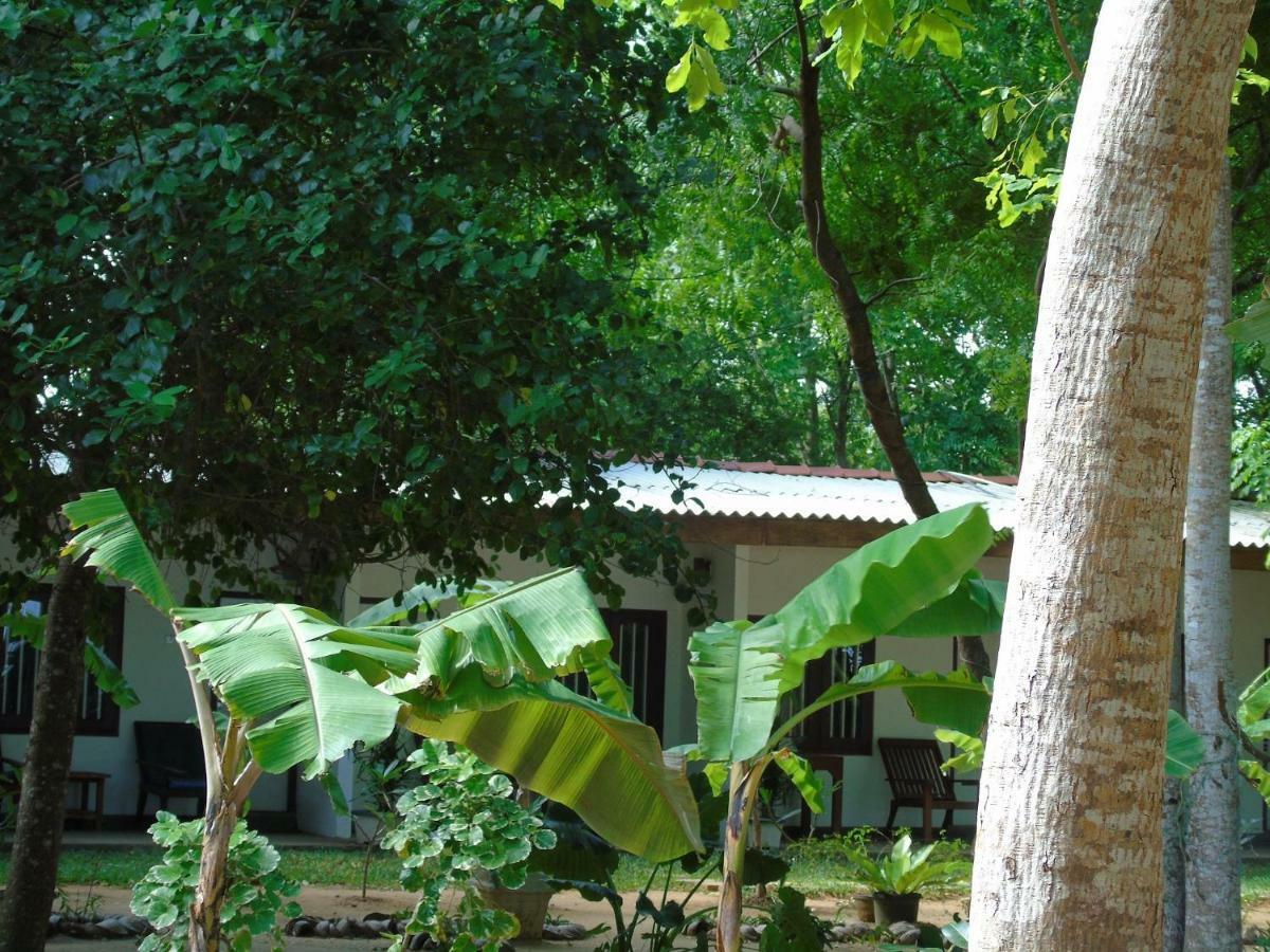 Talalla Coconut Hotel Экстерьер фото